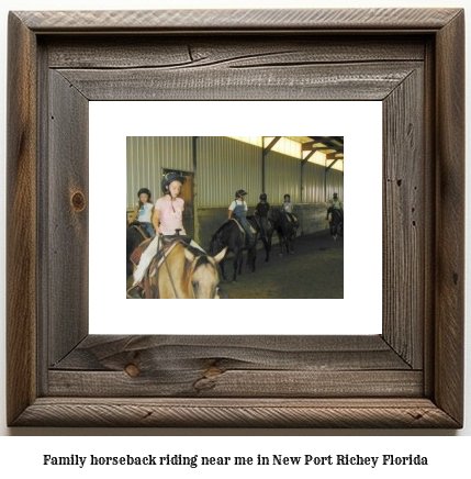 family horseback riding near me in New Port Richey, Florida